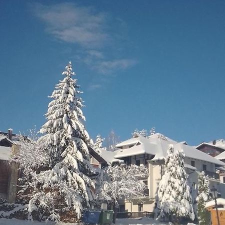 Nenad Jevtic Appartement Zlatibor Buitenkant foto