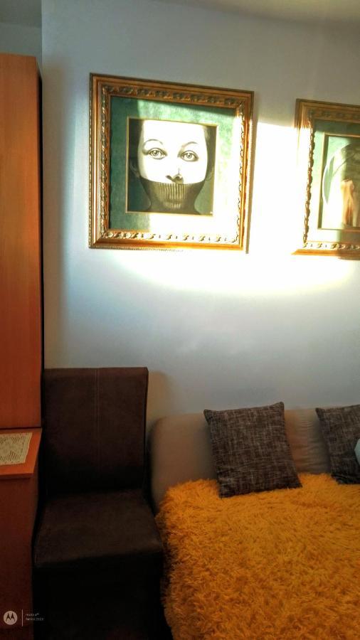 Nenad Jevtic Appartement Zlatibor Buitenkant foto
