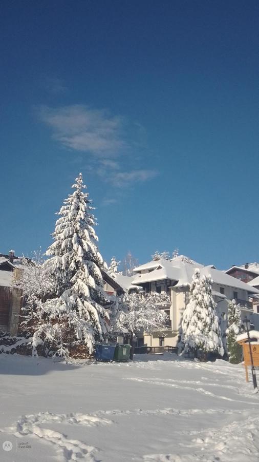 Nenad Jevtic Appartement Zlatibor Buitenkant foto