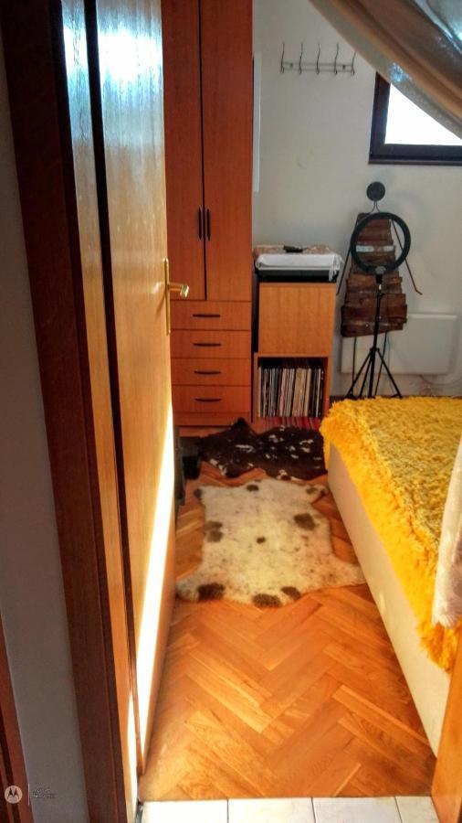 Nenad Jevtic Appartement Zlatibor Buitenkant foto